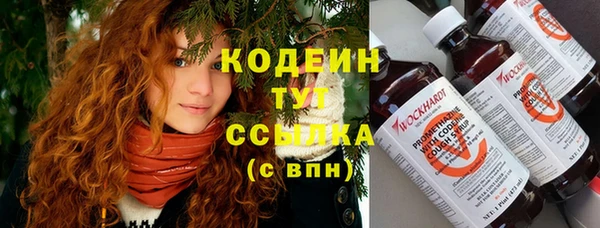 МДПВ Вяземский