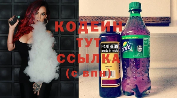 МДПВ Вяземский