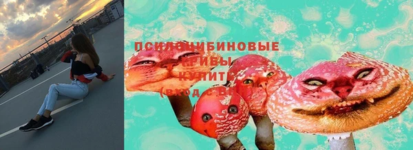 МДПВ Вяземский