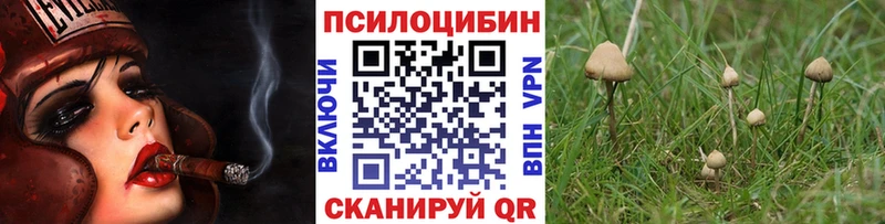 Псилоцибиновые грибы Psilocybine cubensis  Купить закладки  Михайловск 